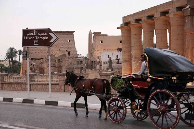 Luxor City tour by Horse Carriage