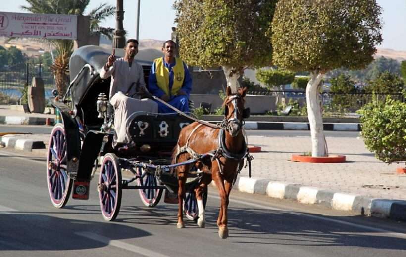 Aswan Horse Carriage Trip