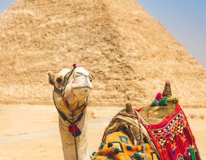 02 Day Tour to Cairo by Air from Hurghada
