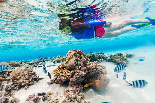 Snorkeling at Ras Mohammed National Park